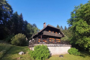 Cottage in the woods - Lake Bohinj